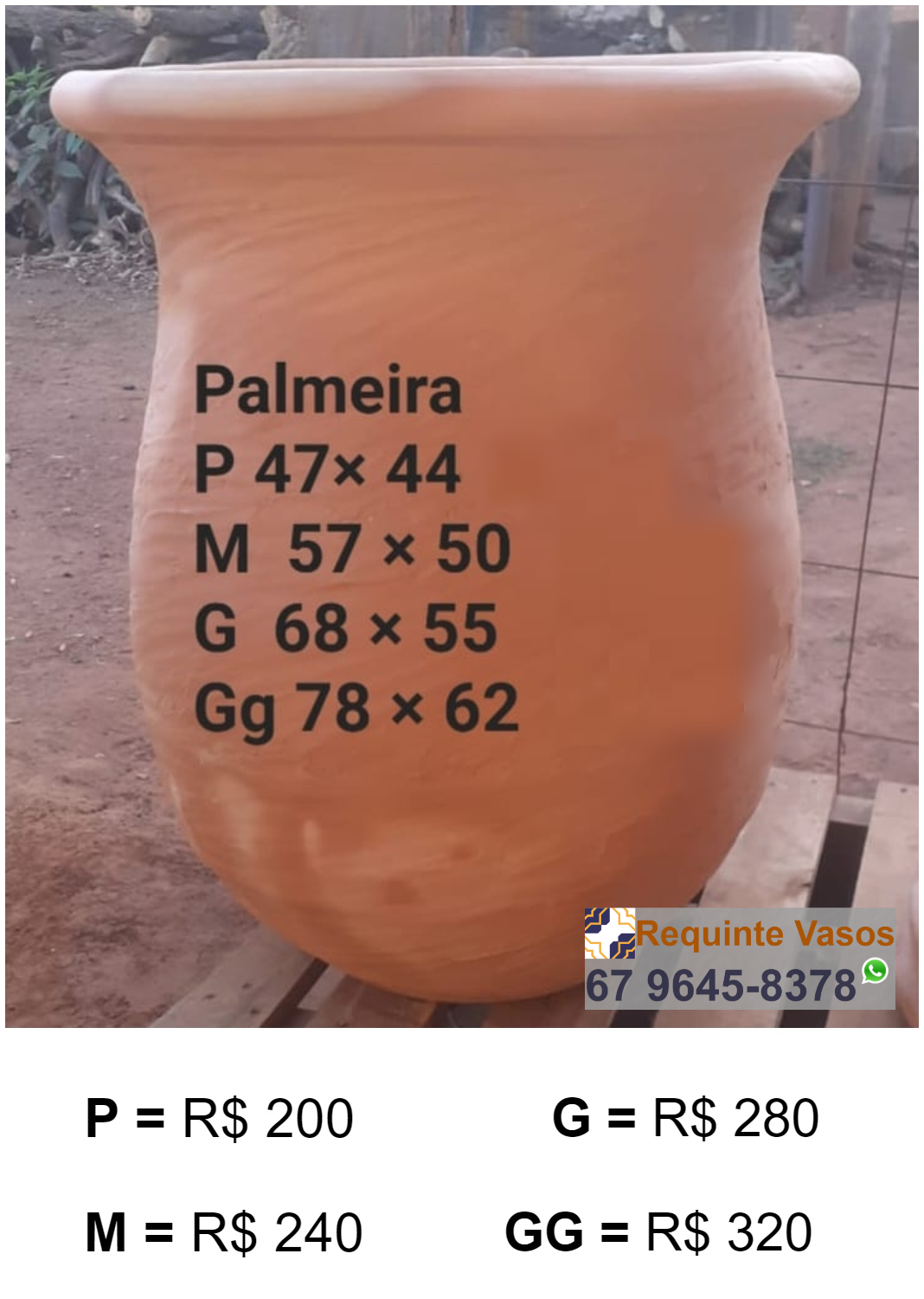VASO PALMEIRA.png