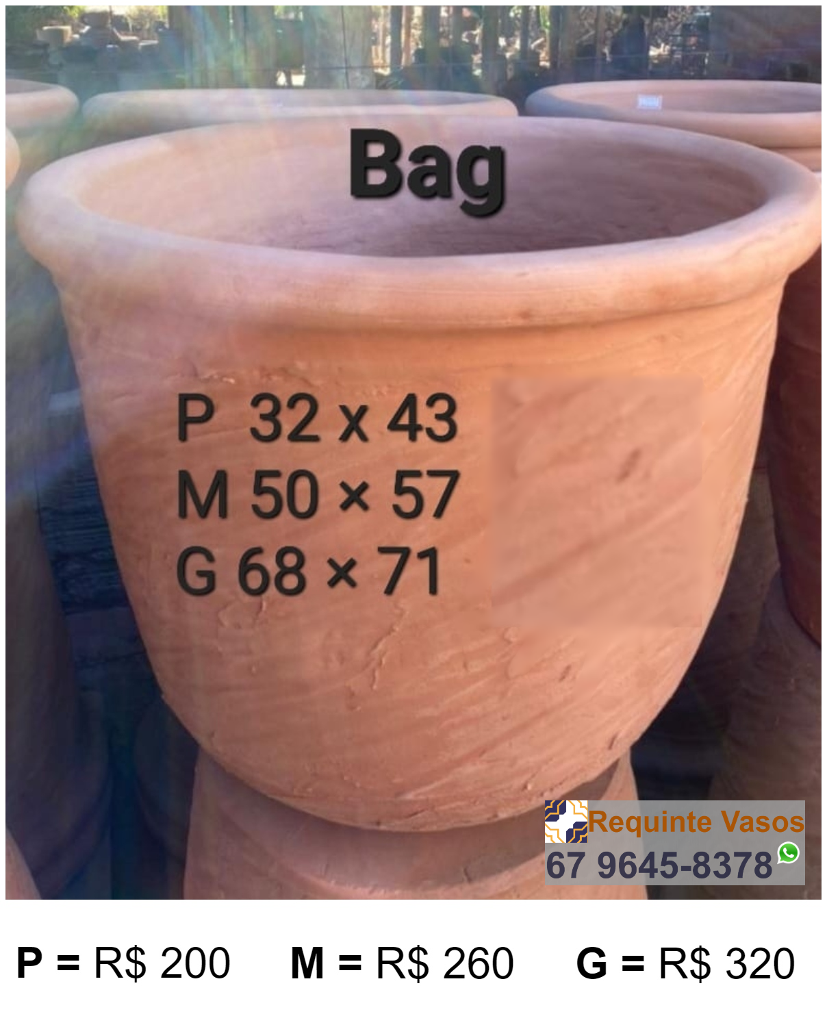 VASO BAG.png