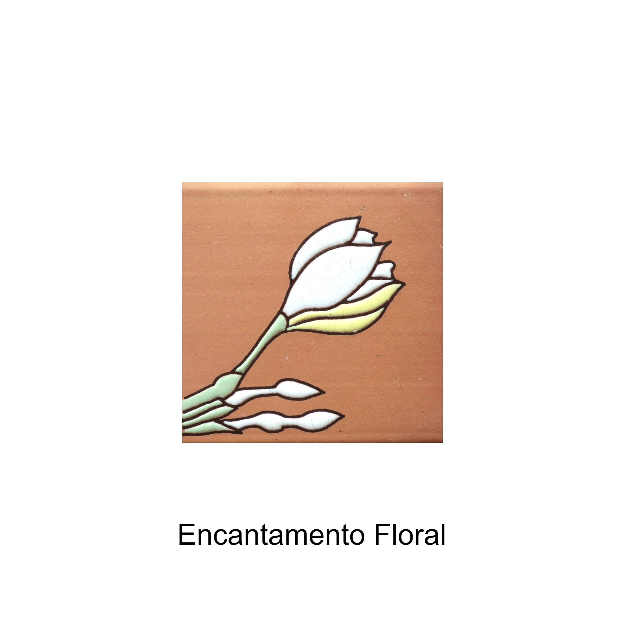 Encantamento Floral 11x11.JPG