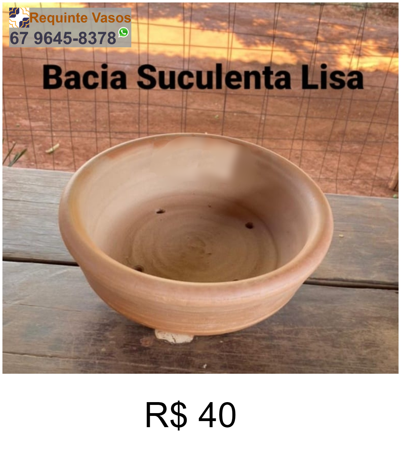 BACIA SUCULENTA LISA.png