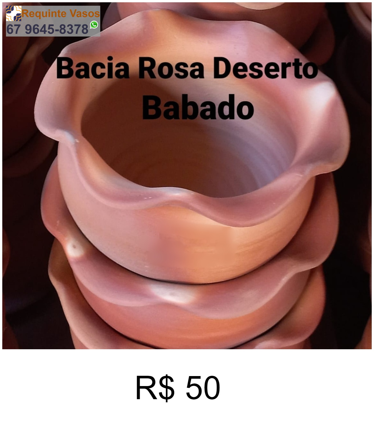 BACIA ROSA DO DESERTO BABADO.png