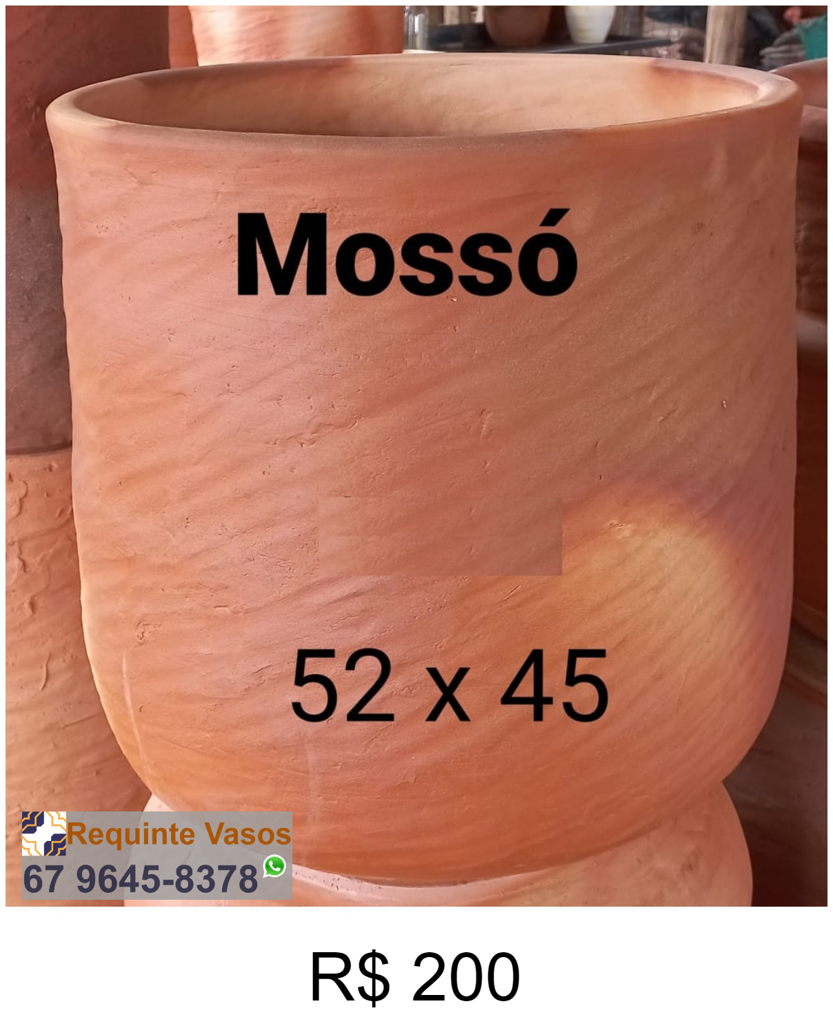 VASO MOSSÓ.png