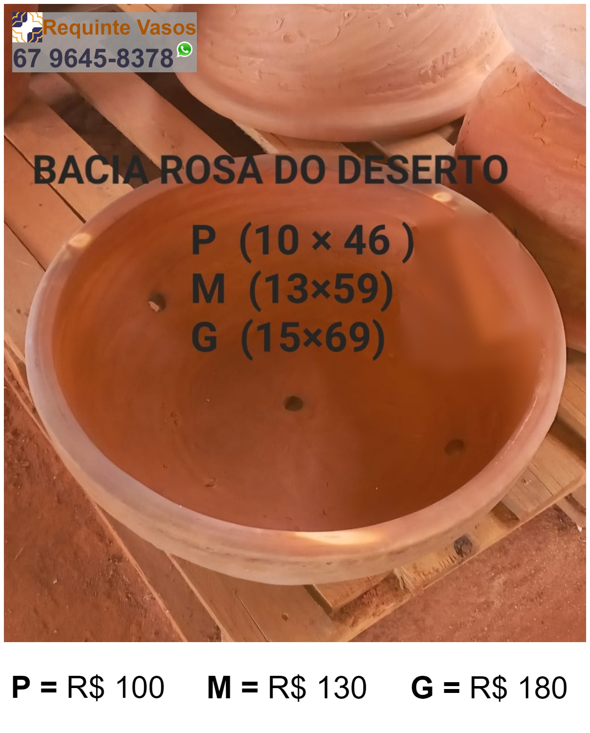 BACIA ROSA DO DESERTO.png