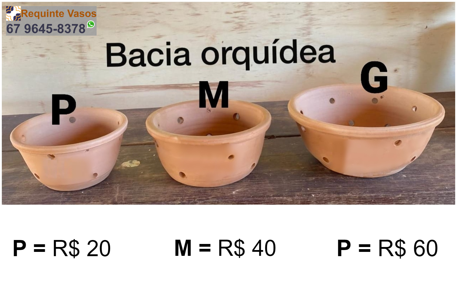 BACIA ORQUÍDEA.png