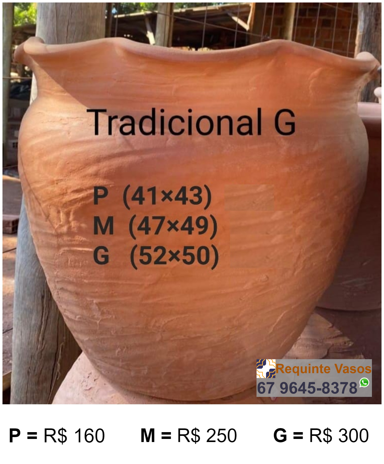 VASO TRADICIONAL.png