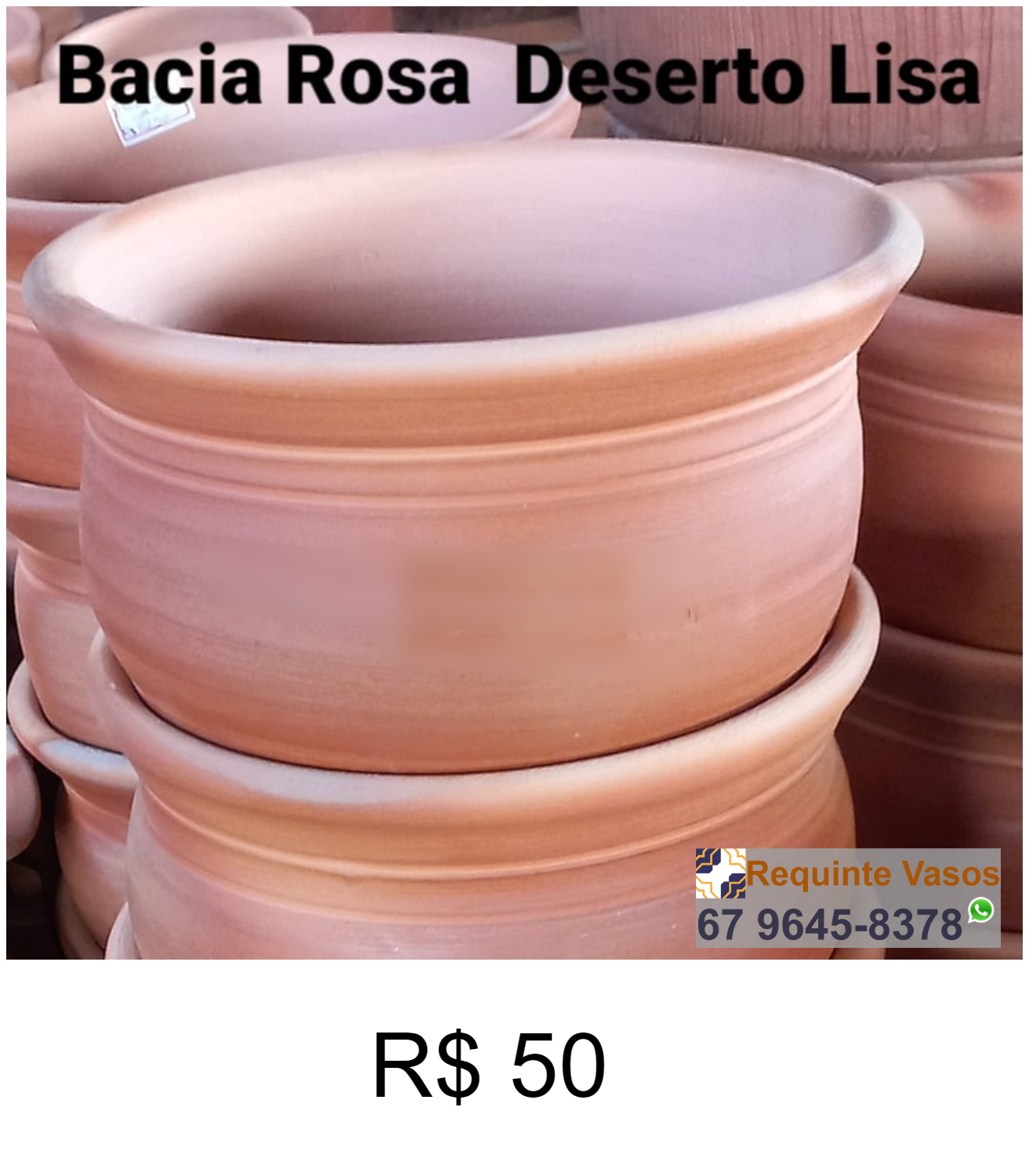 BACIA ROSA DO DESERTO LISA.png