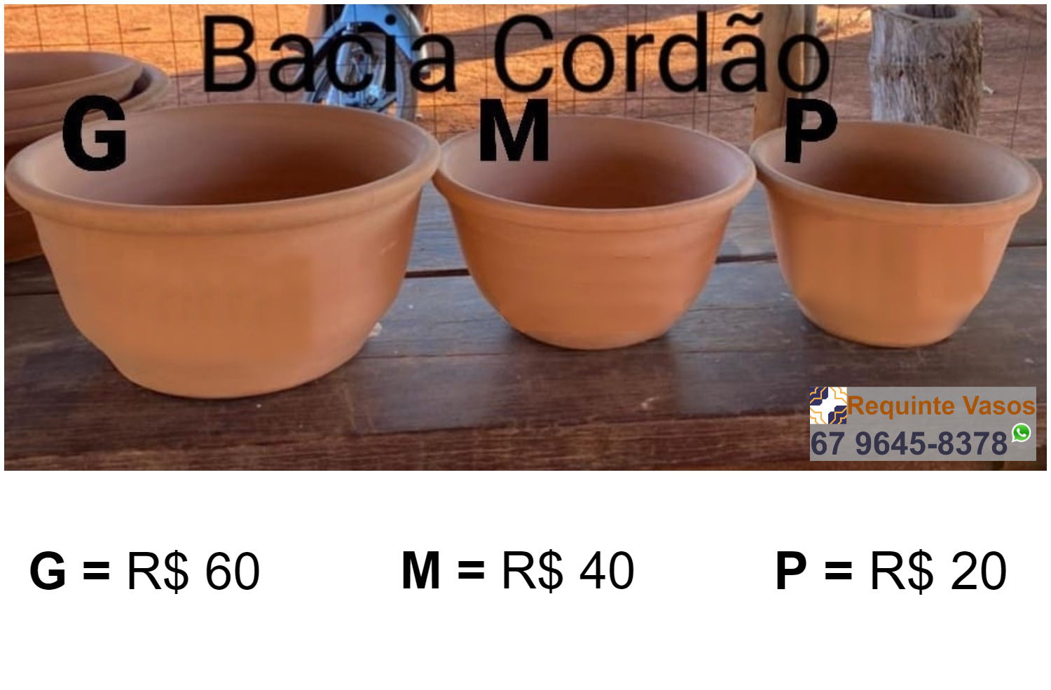 BACIA CORDÃO.png
