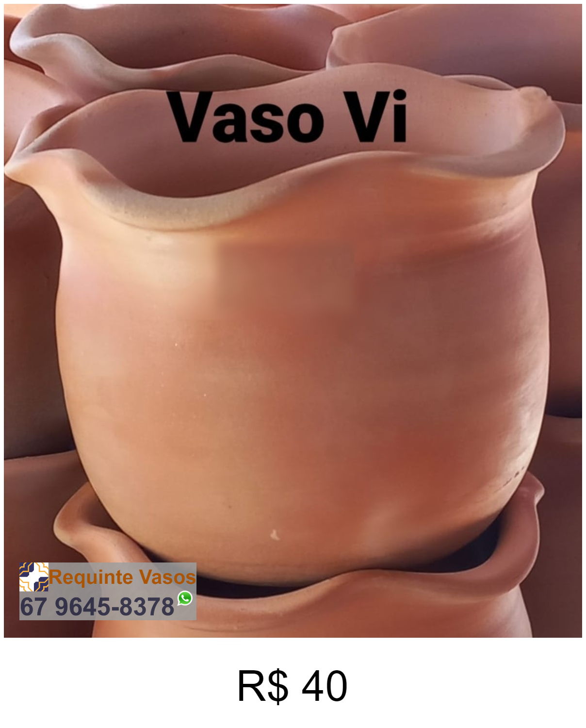 VASO VI.png