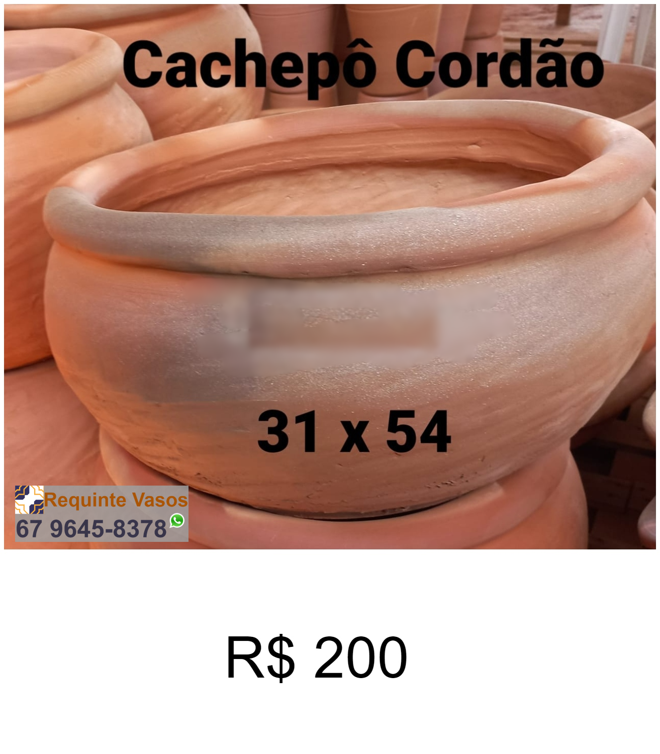 CACHEPÔ CORDÃO.png