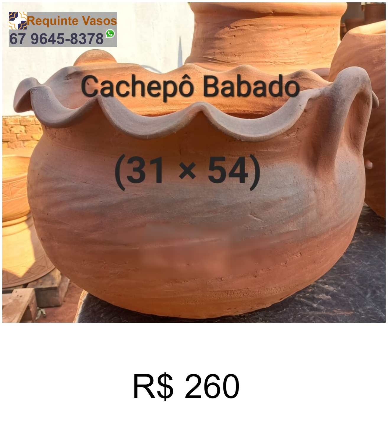 CACHEPÔ BABADO.png