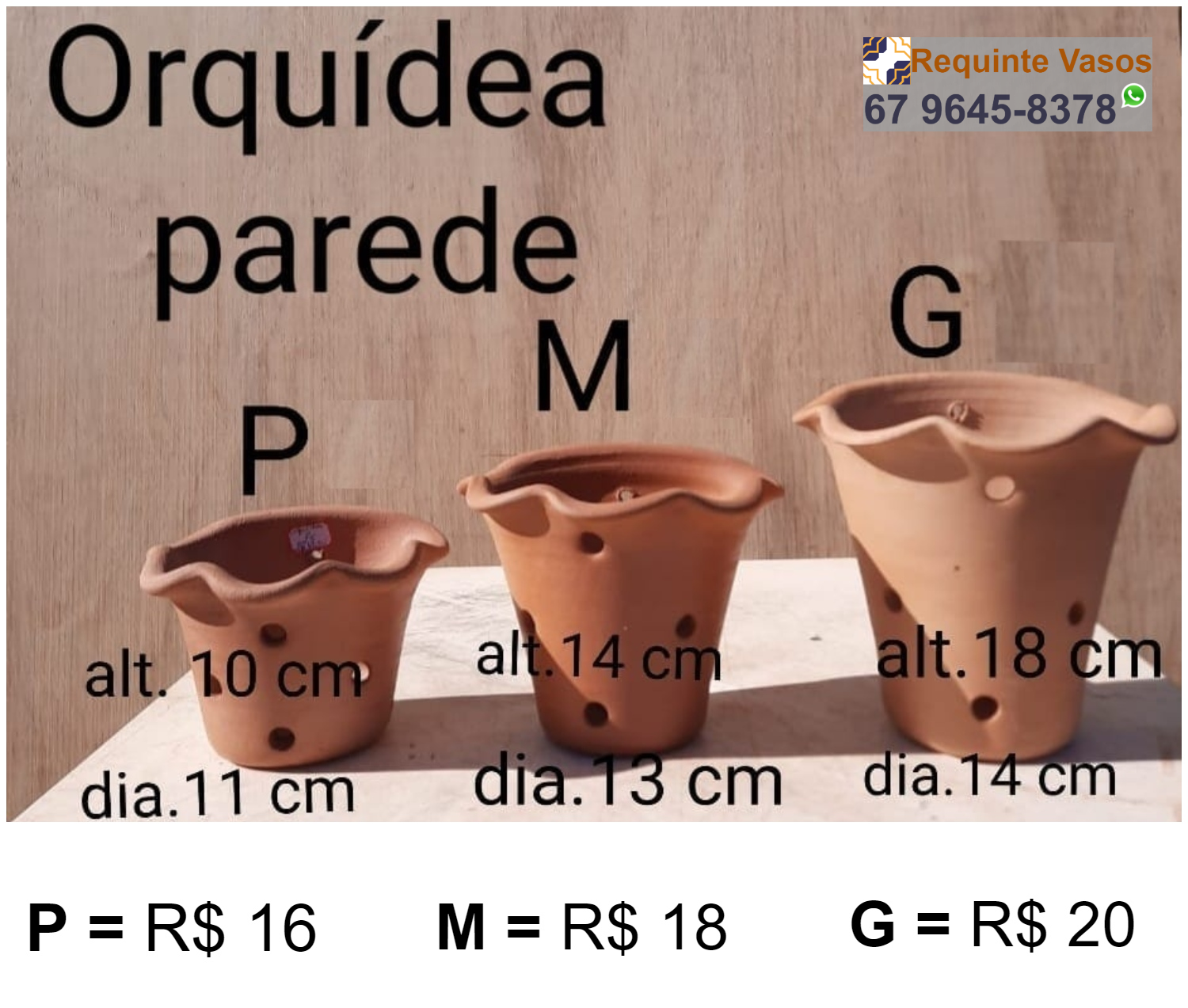 VASO ORQUÍDEA PAREDE.png